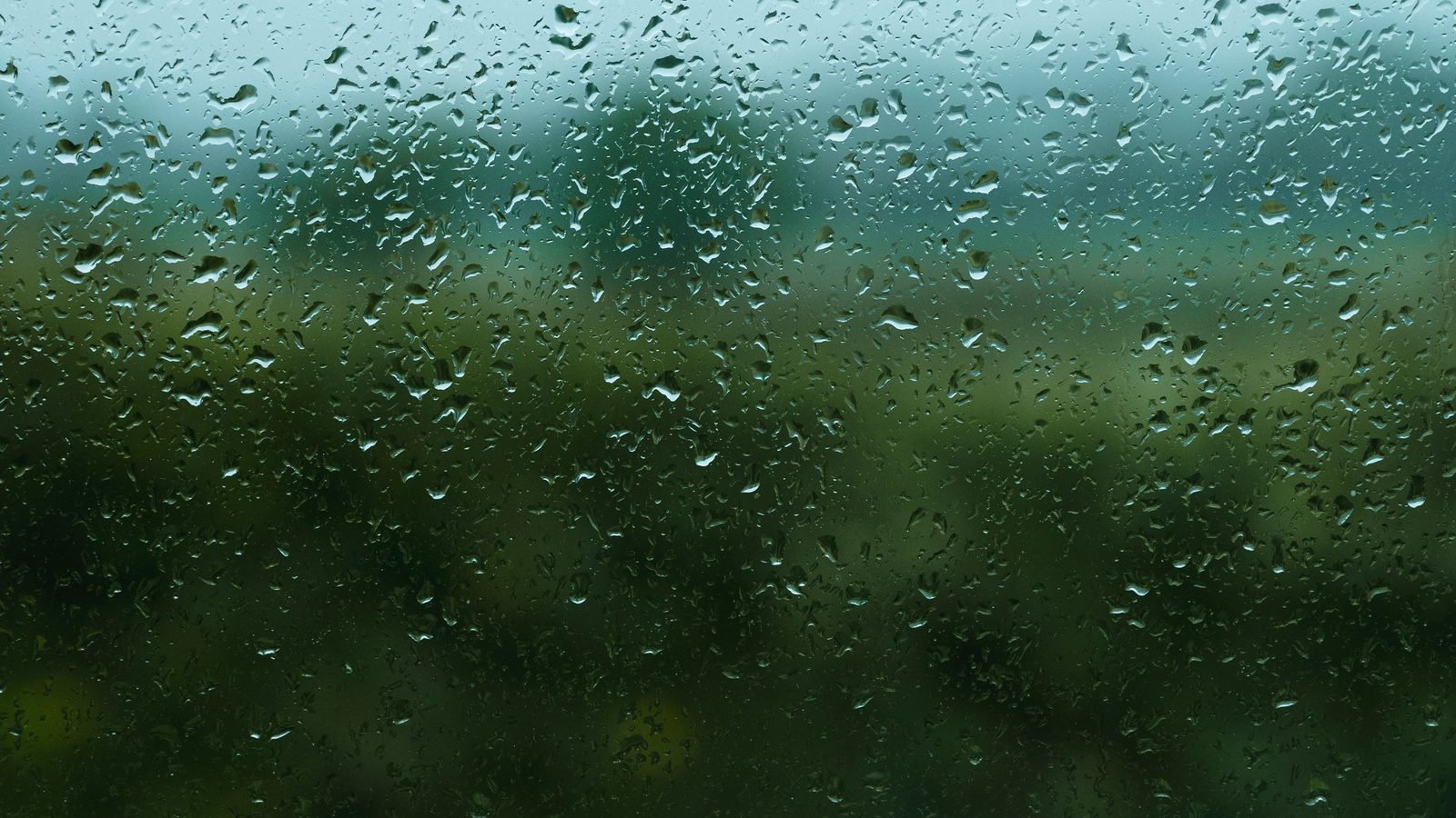 Rain beading and running down a glazed pane with a garden behind it