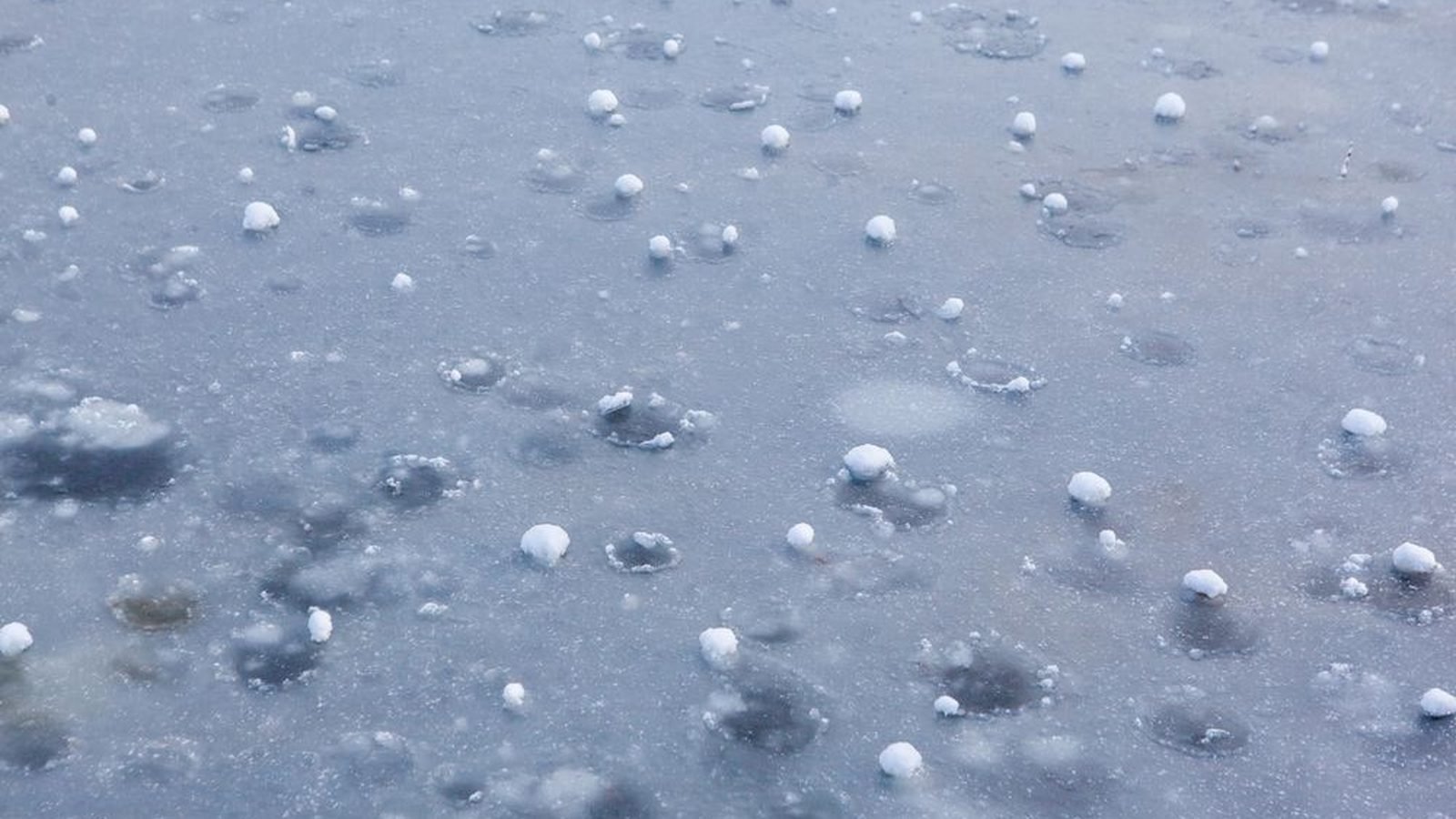 Hailstones lying on pavement after a storm